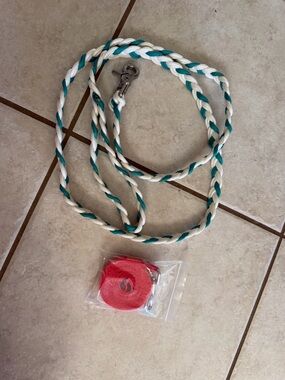 Braided Rope Dog Leash in Teal and White